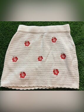 wild fable Cream Crochet Mini Skirt with Red Floral Accents